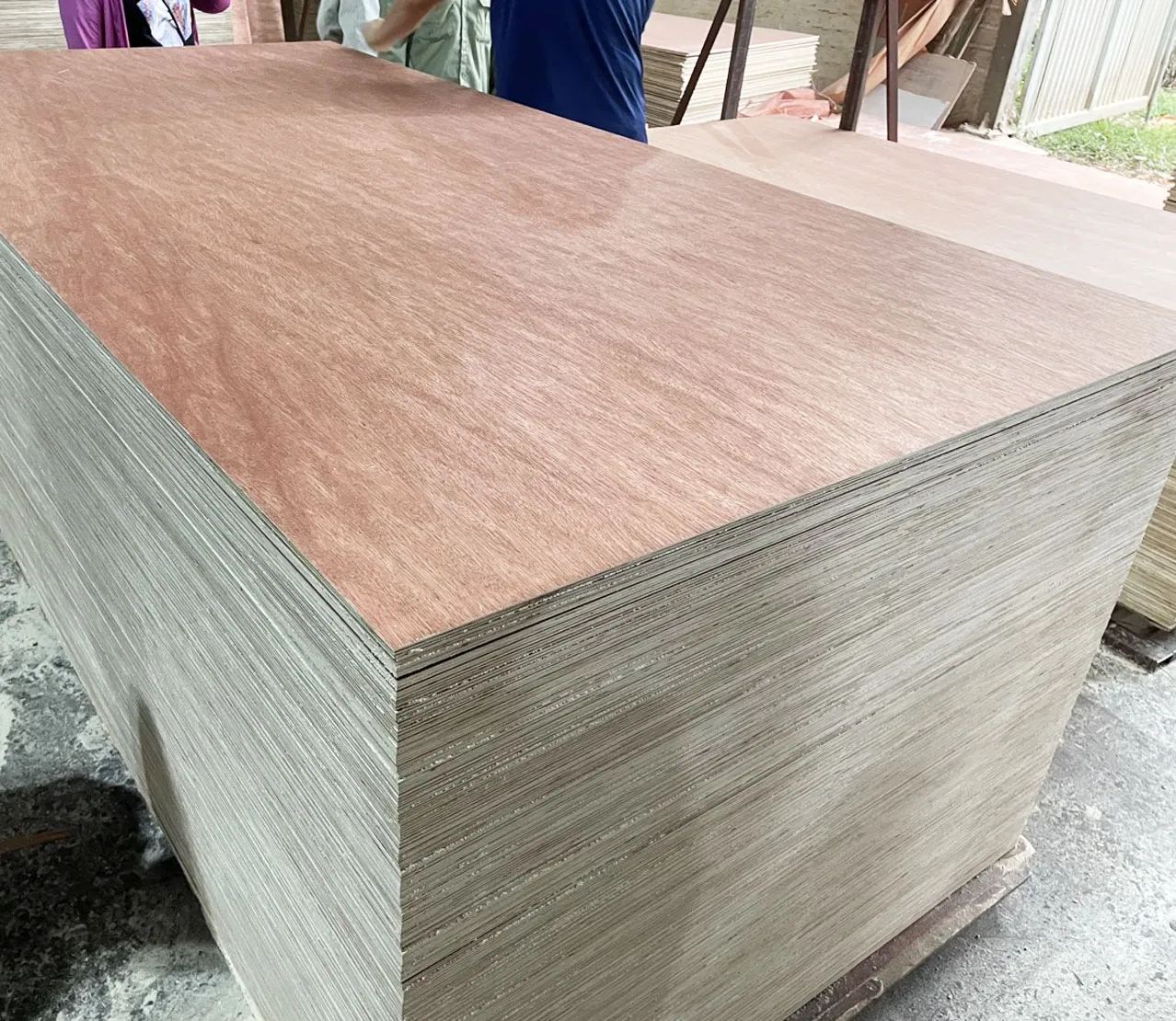 Ván ép thương mại (Commercial Plywood)